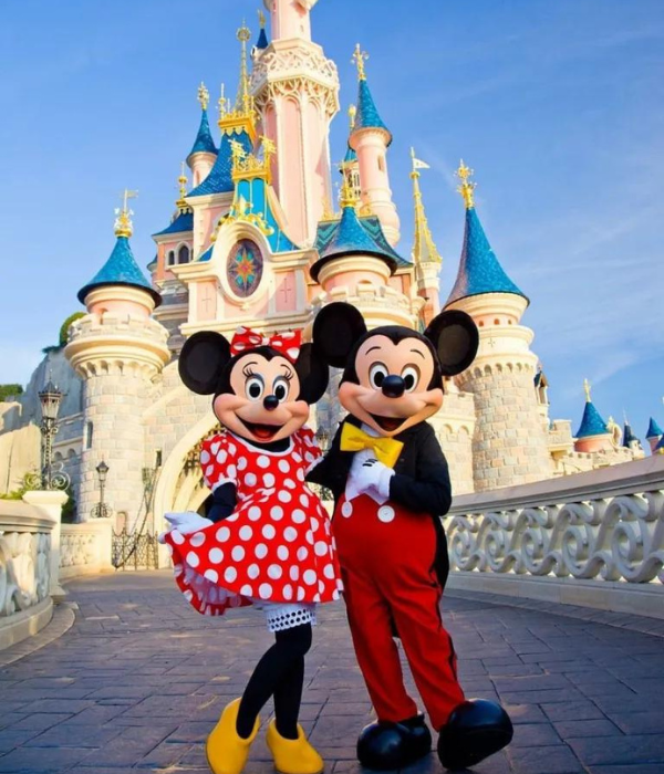 Disney Travel Newscast Videos